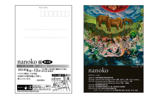 nanoko展