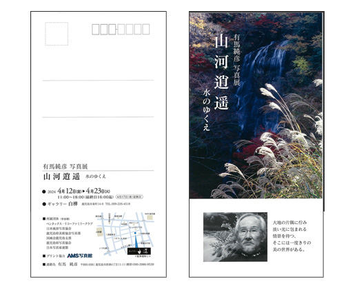 展